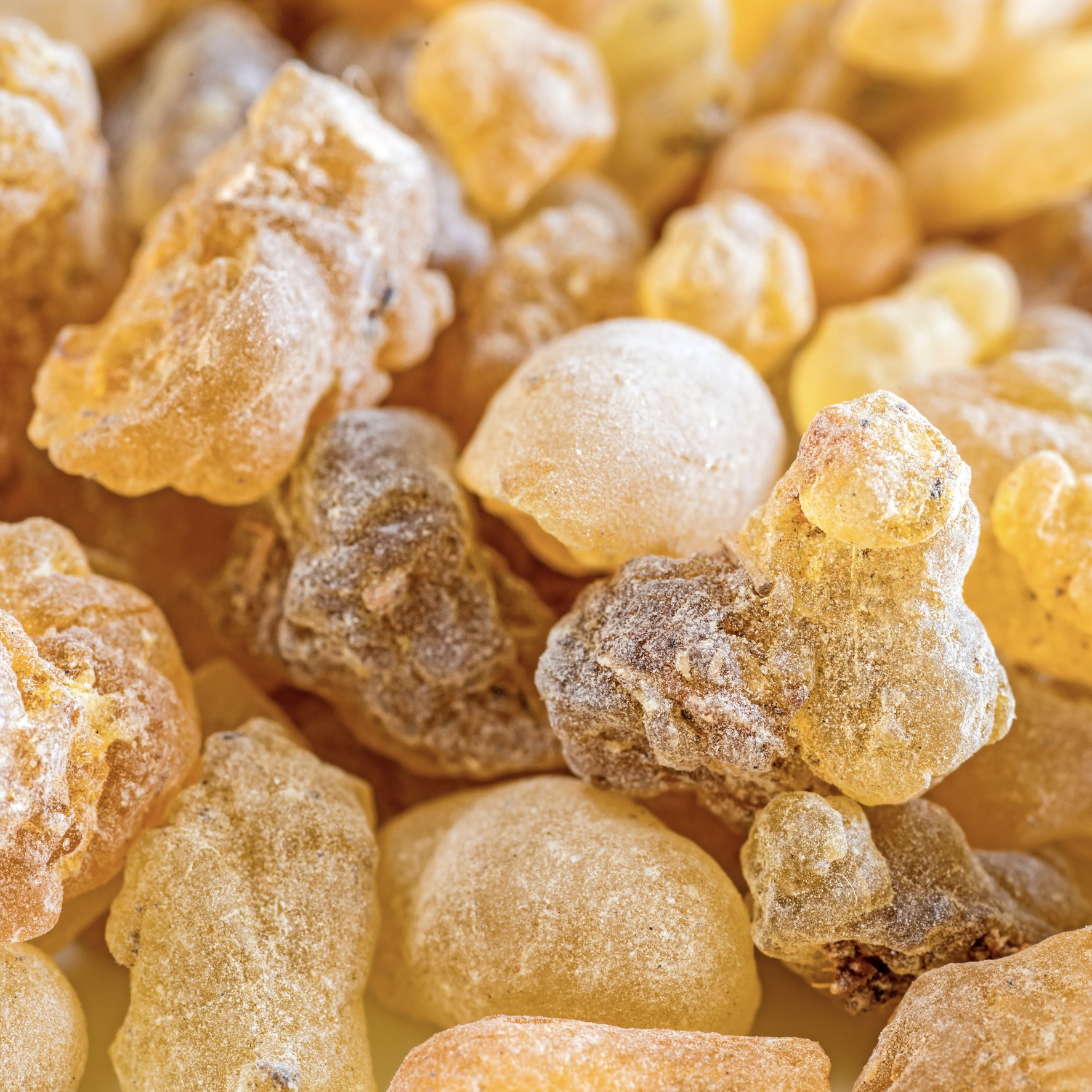 frankincense & myrrh