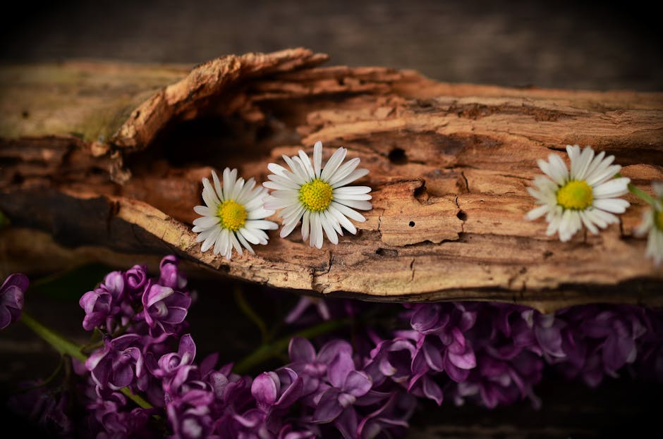 Charming rustic arrangement of daisies and lilacs on textured driftwood, evoking a sense of natural beauty.